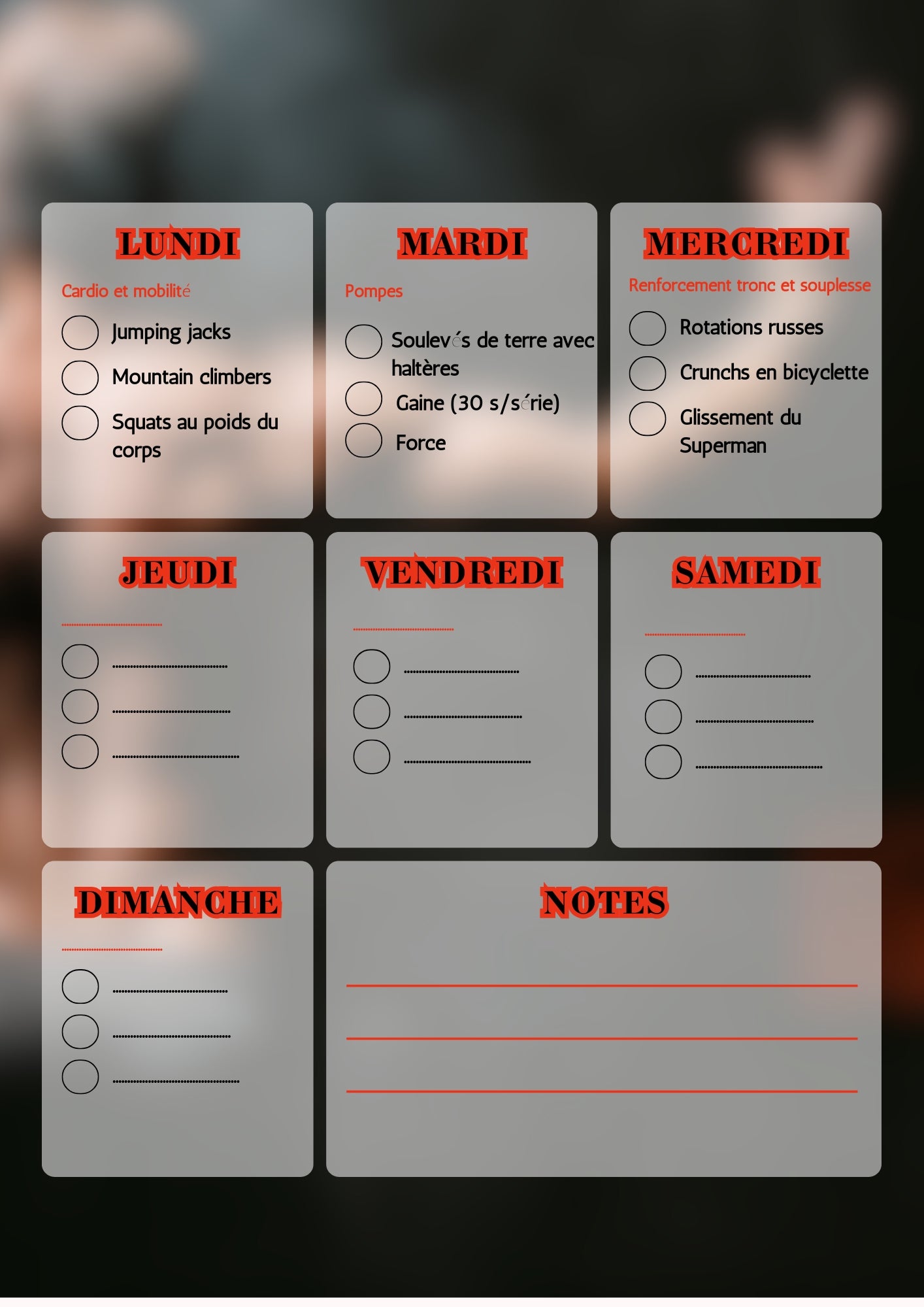 Planificateur king 3